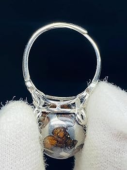 隕石 ゴールデン パラサイト⭐ Amazon | 【鑑別書選択可能】 パラサイト隕石 指輪 360度回転 玉